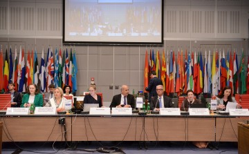 Predstavnica Udruženja na sastanku Komiteta za sigurnost OSCE-a